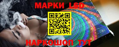 твердый Бердск