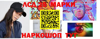 твердый Бердск