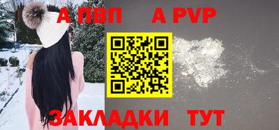 твердый Бердск